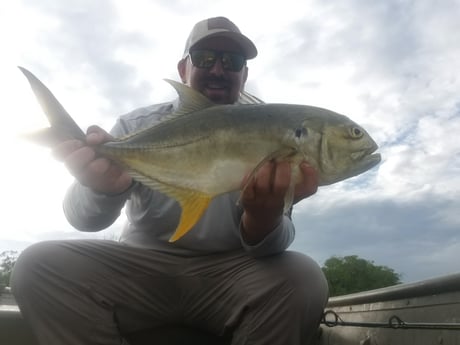 Jack Crevalle fishing in Islamorada, Florida