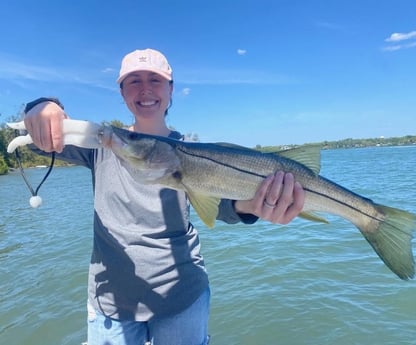 Snook fishing in Sarasota, Florida