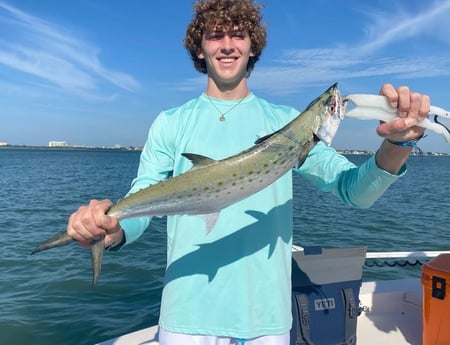 Snook fishing in Sarasota, Florida