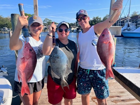 Red Snapper, Triggerfish Fishing in Destin, Florida