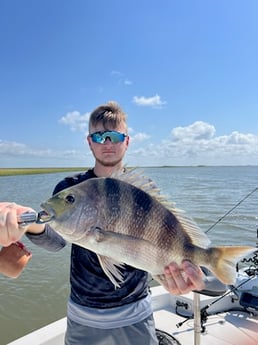 Sheepshead Fishing in Galveston, Texas