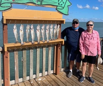 Speckled Trout / Spotted Seatrout fishing in South Padre Island, Texas