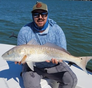 Redfish Fishing in Islamorada, Florida