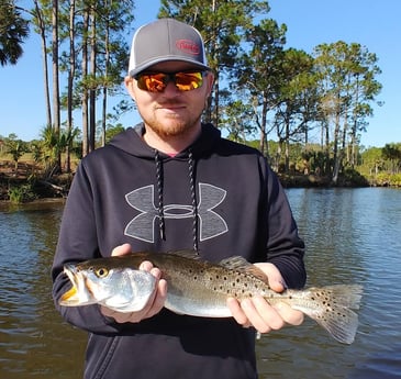 Speckled Trout / Spotted Seatrout Fishing in St. Augustine, Florida