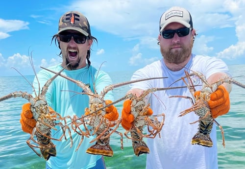 Lobster fishing in Tavernier, Florida