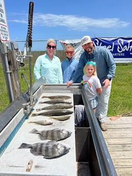 Black Drum, Flounder, Speckled Trout Fishing in Galveston, Texas