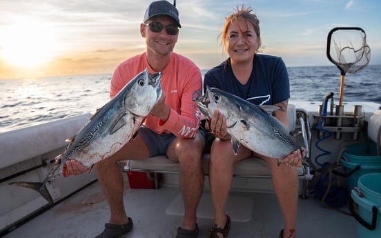 False Albacore Fishing in Boynton Beach, Florida