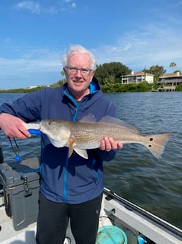 Redfish fishing in St. Petersburg, Florida