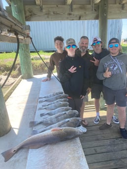 Black Drum, Redfish Fishing in Rockport, Texas