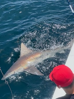 Fishing in Destin, Florida