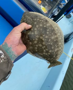 Flounder fishing in Galveston, Texas