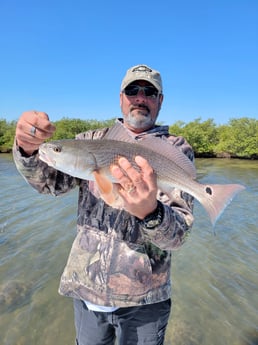 Snook fishing in New Smyrna Beach, Florida