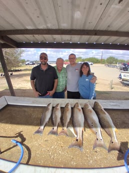 Redfish Fishing in San Antonio, Texas