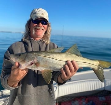 Snook Fishing in Sarasota, Florida