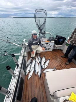 Fishing in Clay Township, Michigan