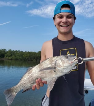 Black Drum fishing in New Smyrna Beach, Florida