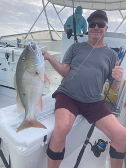 Mutton Snapper Fishing in Marathon, Florida