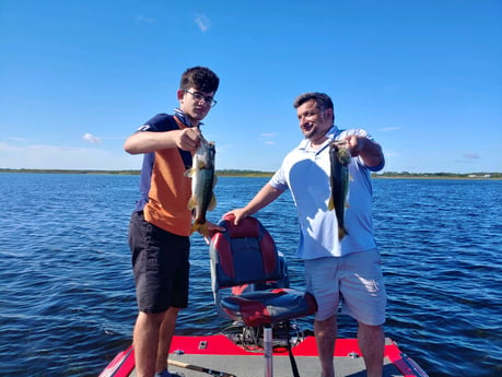 Largemouth Bass fishing in Kissimmee, Florida