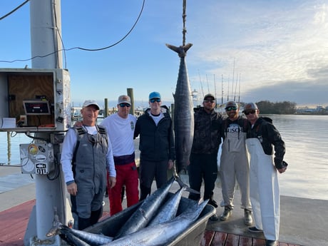 Wahoo Fishing in Destin, Florida