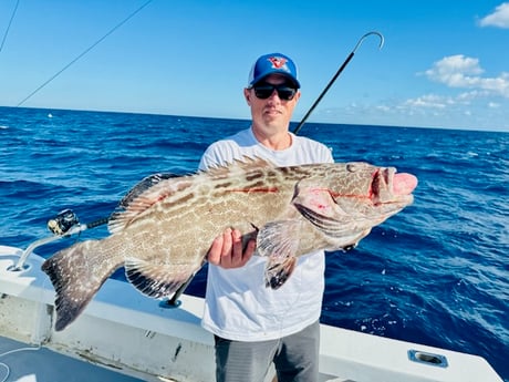 Black Grouper Fishing in