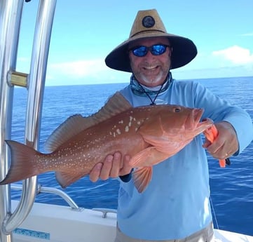 Red Grouper fishing in Clearwater, Florida