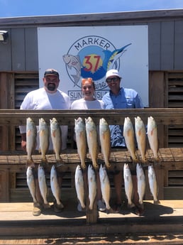 Redfish, Speckled Trout / Spotted Seatrout fishing in Corpus Christi, Texas