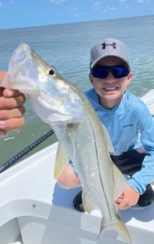 Snook fishing in Tavernier, Florida