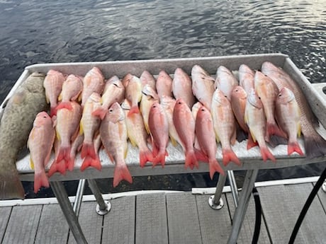 Fishing in Holiday, Florida