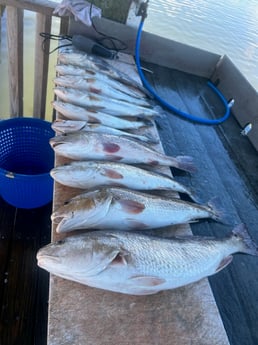 Fishing in Rockport, Texas