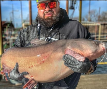 Blue Catfish Fishing in Dallas, Texas