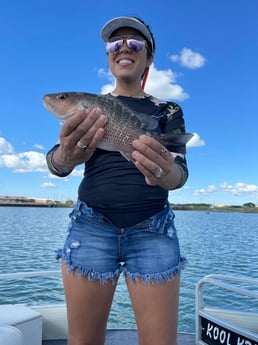 Mangrove Snapper fishing in South Padre Island, Texas