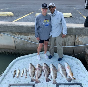 Black Drum, Redfish, Speckled Trout / Spotted Seatrout fishing in Port Isabel, Texas