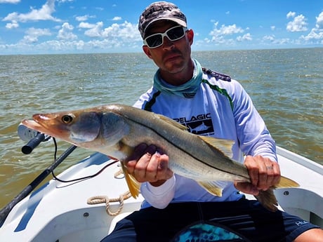 Snook fishing in Tavernier, Florida