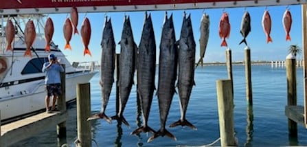 Amberjack, Mahi Mahi / Dorado, Vermillion Snapper, Wahoo Fishing in Port Aransas, Texas