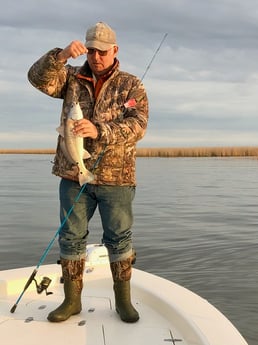 Redfish fishing in Venice, Louisiana