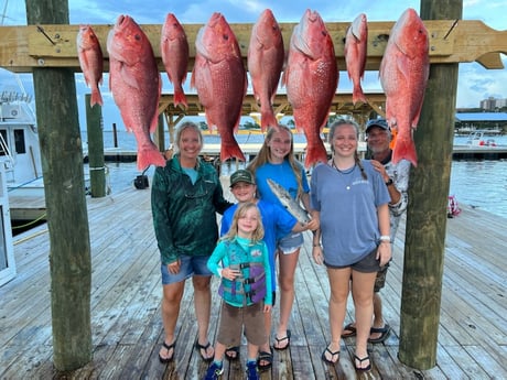 Barracuda, Red Snapper fishing in Orange Beach, Alabama