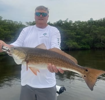 Redfish Fishing in Tampa, Florida