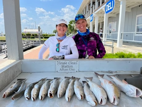 Redfish, Speckled Trout / Spotted Seatrout fishing in Galveston, Texas