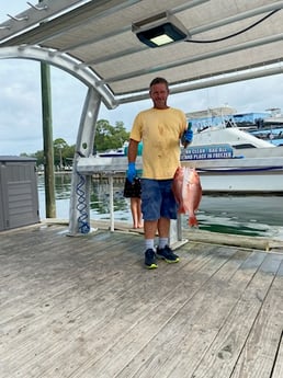 Red Snapper Fishing in Destin, Florida