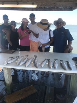 Speckled Trout / Spotted Seatrout fishing in Galveston, Texas