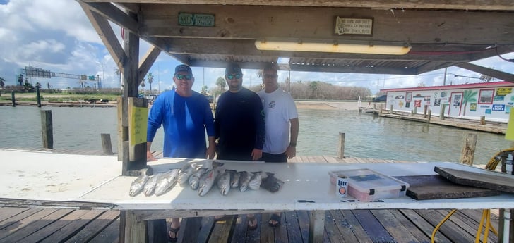 Flounder, Speckled Trout / Spotted Seatrout fishing in Galveston, Texas