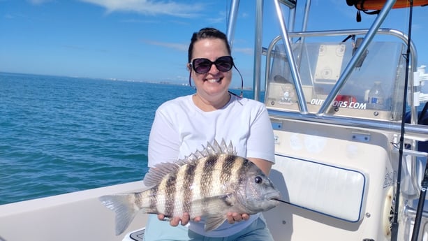 Sheepshead Fishing in Sarasota, Florida