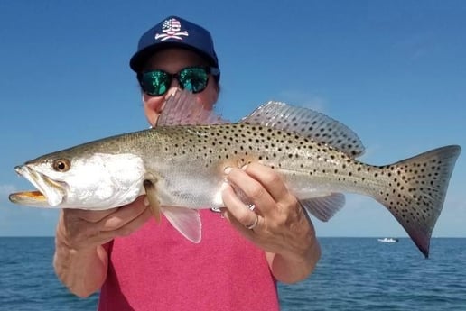 Speckled Trout Fishing in Islamorada, Florida