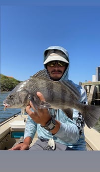 Speckled Trout / Spotted Seatrout fishing in Palm Coast, Florida