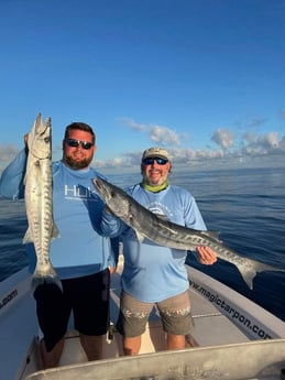 Tarpon fishing in Carolina, Carolina