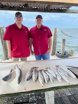 Speckled Trout / Spotted Seatrout fishing in Galveston, Texas