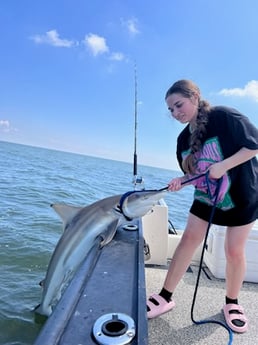 Blacktip Shark Fishing in Galveston, Texas