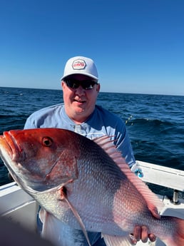 Triggerfish fishing in Orange Beach, Alabama