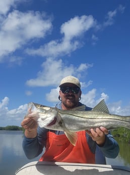 Snook Fishing in Islamorada, Florida