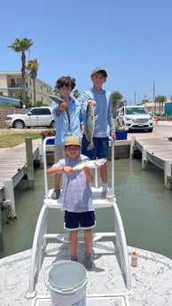 Speckled Trout / Spotted Seatrout fishing in South Padre Island, Texas